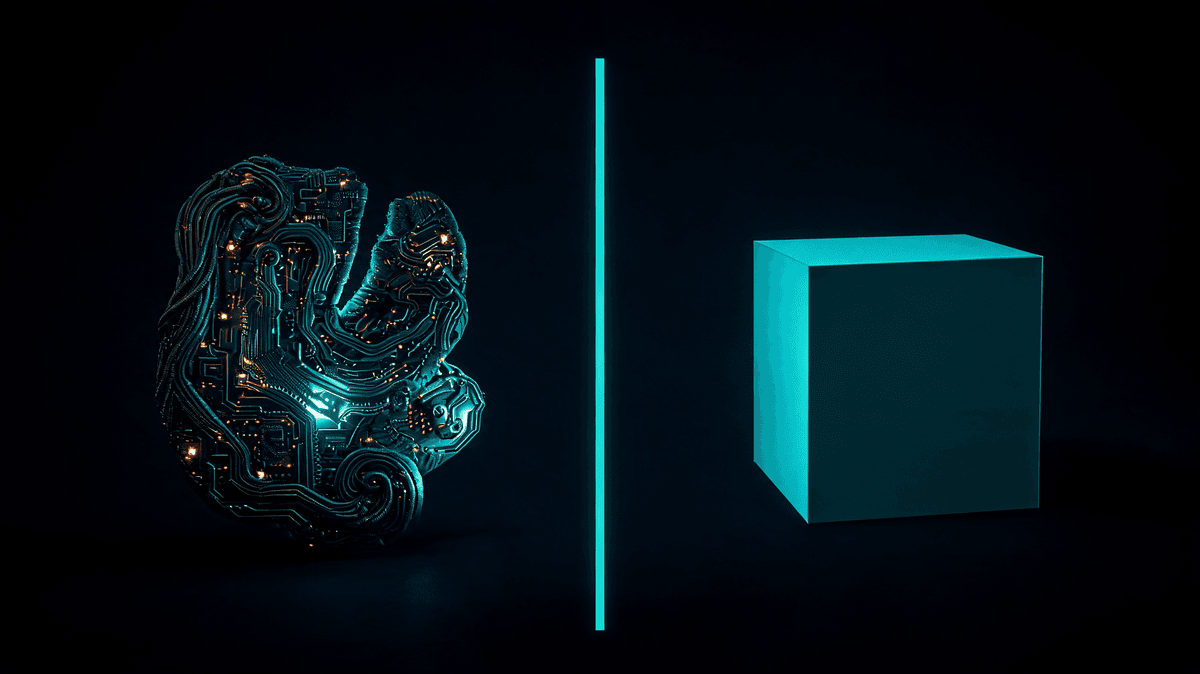 Custom software vs ready-made — bespoke circuit sculpture vs geometric cube